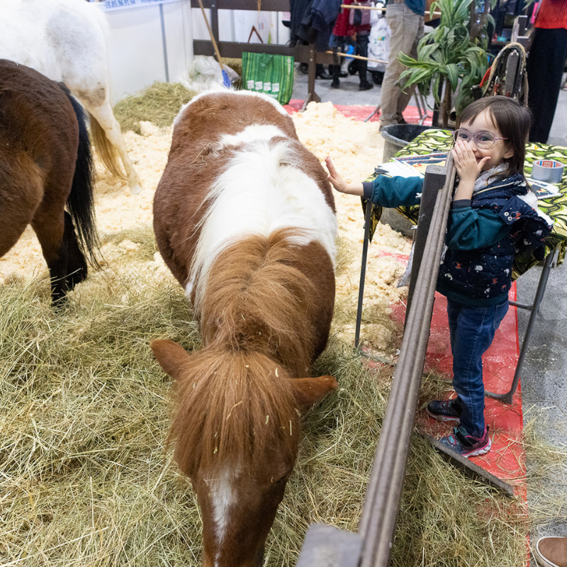 kidexpo lyon